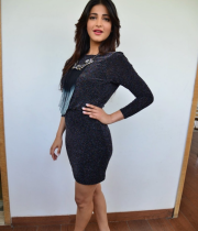 shruti-haasan-new-photo-stills-at-race-gurram-success-meet-35