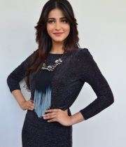 shruti-haasan-new-photo-stills-at-race-gurram-success-meet-36