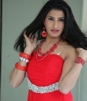 shruti-hussain-hot-photo-stills-13