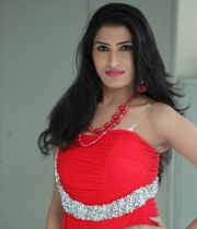 shruti-hussain-hot-photo-stills-15