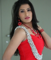 shruti-hussain-hot-photo-stills-24