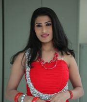 shruti-hussain-hot-photo-stills-28