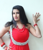 shruti-hussain-hot-photo-stills-52