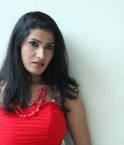 shruti-hussain-hot-photo-stills-53
