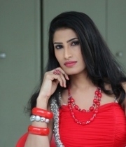 shruti-hussain-hot-photo-stills-55