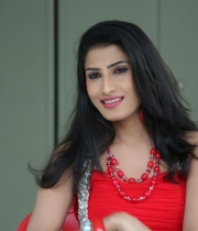 shruti-hussain-hot-photo-stills-57