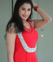 shruti-hussain-hot-photo-stills-6