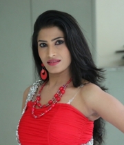 shruti-hussain-hot-photo-stills-61