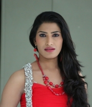 shruti-hussain-hot-photo-stills-63