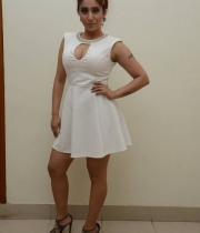 singer-nehabasin-hot-photos-at-1-nenokkadine-audio-launch-12