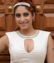 singer-nehabasin-hot-photos-at-1-nenokkadine-audio-launch-17