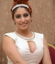 singer-nehabasin-hot-photos-at-1-nenokkadine-audio-launch-2