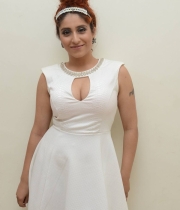 singer-nehabasin-hot-photos-at-1-nenokkadine-audio-launch-6