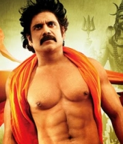 6nagarjuna-six-pack
