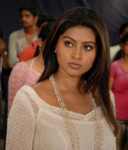 sneha-photo-shoot-photos-06
