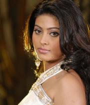 sneha-photo-shoot-photos-09