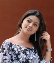 sneha-photo-shoot-photos-13