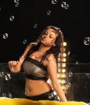 sneha-ullal-hot-stills-in-action-3d-movie-9