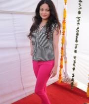 sneha-ullal-new-photostills-gallery-17_s_130