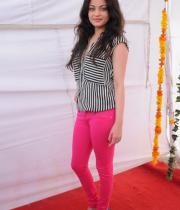 sneha-ullal-new-photostills-gallery-18_s_206