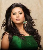sneha-unseen-photoshoot-photos123