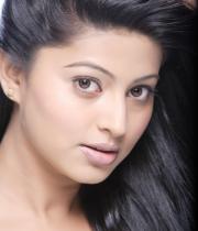 sneha-unseen-photoshoot-photos126