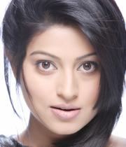 sneha-unseen-photoshoot-photos131