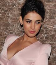 sonal-chauhan-latest-photos-6