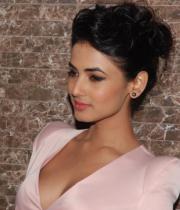 sonal-chauhan-latest-photos-7