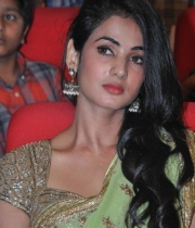 sonal-chauhan-saree-stills-at-legend-audio-4