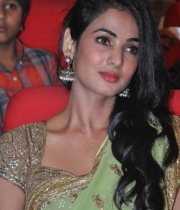sonal-chauhan-saree-stills-at-legend-audio-5