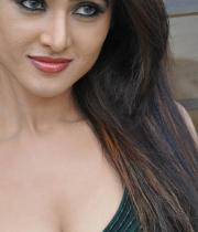 sony-charishta-hot-images-01