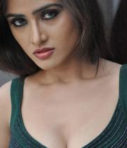 sony-charishta-hot-images-04