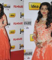 idea-filmfare-awards-south-2013-16