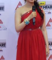 idea-filmfare-awards-south-2013-22