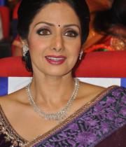 sridevi-saree-stils-at-tsr-awards-2013-10