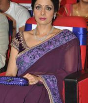 sridevi-saree-stils-at-tsr-awards-2013-11