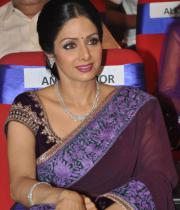 sridevi-saree-stils-at-tsr-awards-2013-12