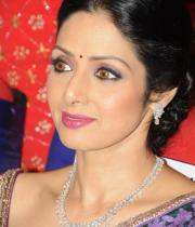 sridevi-saree-stils-at-tsr-awards-2013-13