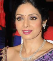 sridevi-saree-stils-at-tsr-awards-2013-14