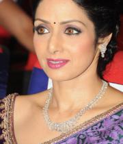 sridevi-saree-stils-at-tsr-awards-2013-15