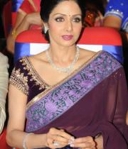 sridevi-saree-stils-at-tsr-awards-2013-16