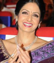 sridevi-saree-stils-at-tsr-awards-2013-18