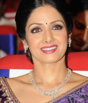 sridevi-saree-stils-at-tsr-awards-2013-19