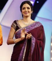 sridevi-saree-stils-at-tsr-awards-2013-1_0