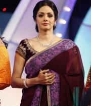 sridevi-saree-stils-at-tsr-awards-2013-2