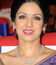 sridevi-saree-stils-at-tsr-awards-2013-21