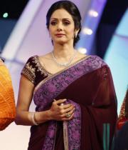 sridevi-saree-stils-at-tsr-awards-2013-3