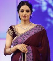 sridevi-saree-stils-at-tsr-awards-2013-4