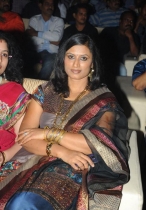 srimannarayana-audio-launch-photos-19